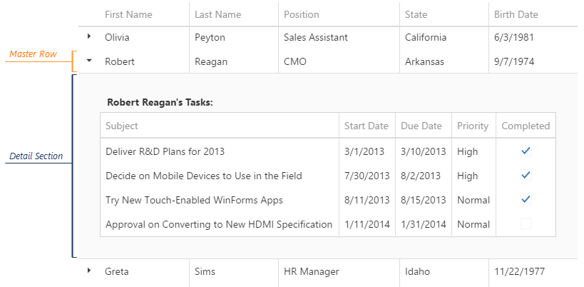 DevExtreme HTML5/JavaScript DataGrid Widget Master Detail Interface
